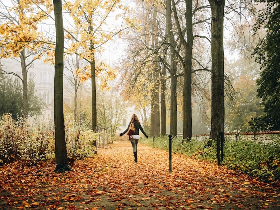 Walking through the dropped leaves of autumn