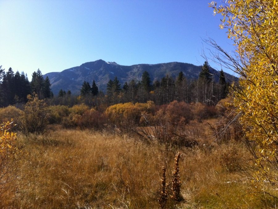 Mt. Tallac