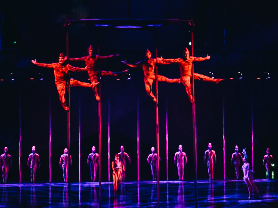 Mystère by Cirque du Soleil